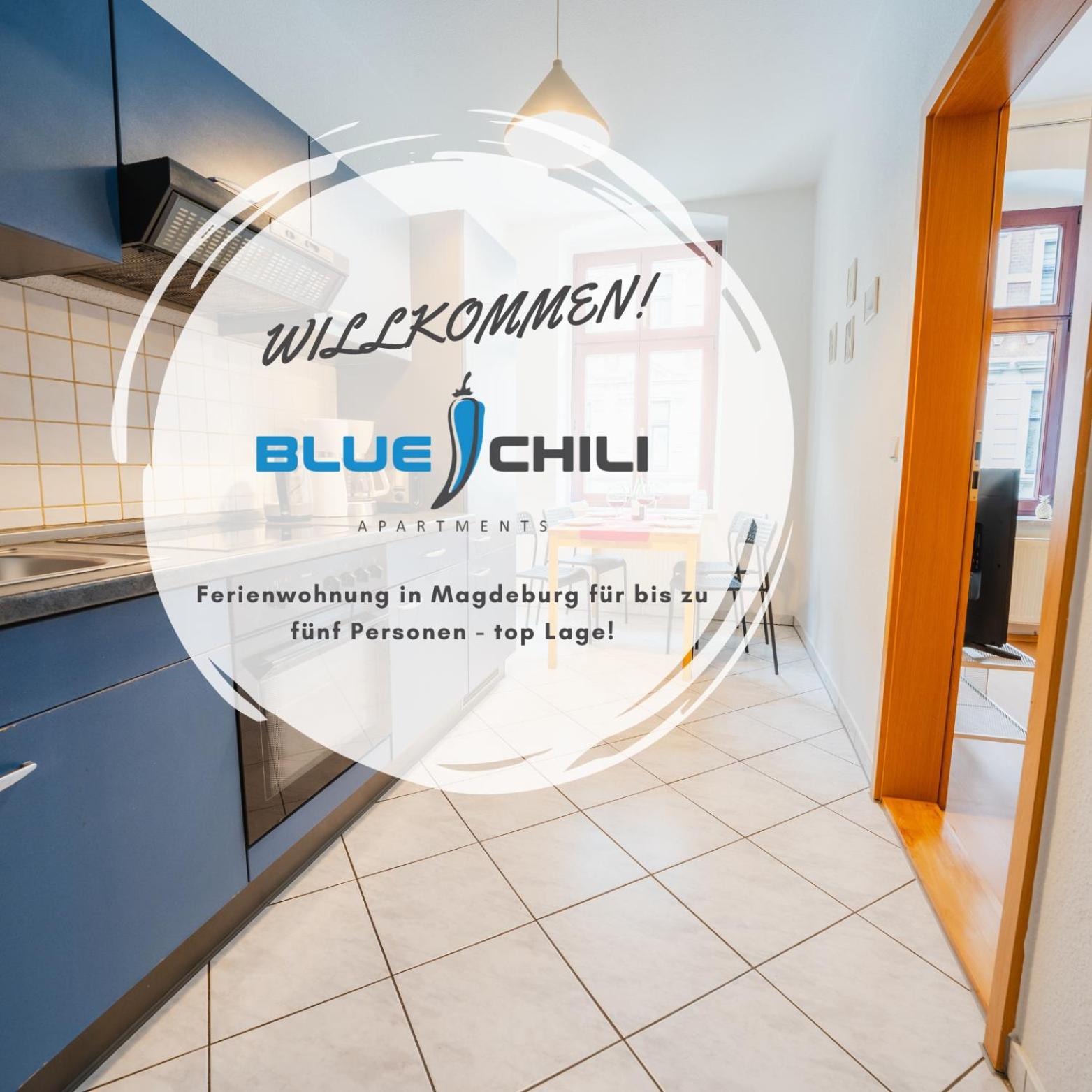 Blue Chili 08 - Magdeburg 2-Zimmer Altbau, Wi-Fi, 5 Pax Exterior foto